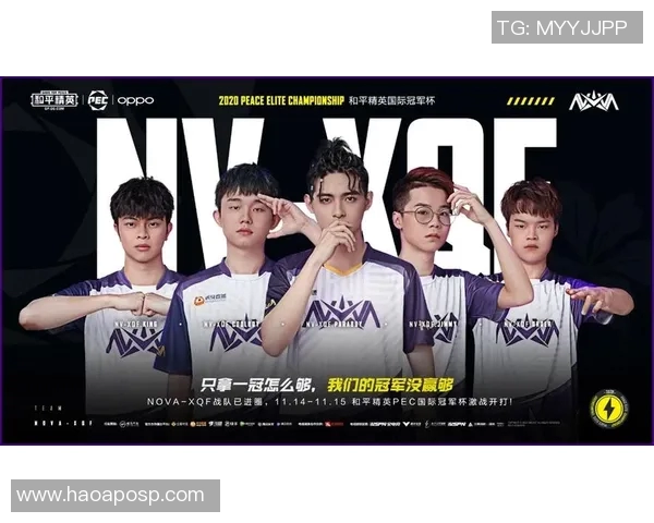 esports数据S15LOL赛事中RNG战队心理素质分析与和平精英表现的关联探讨