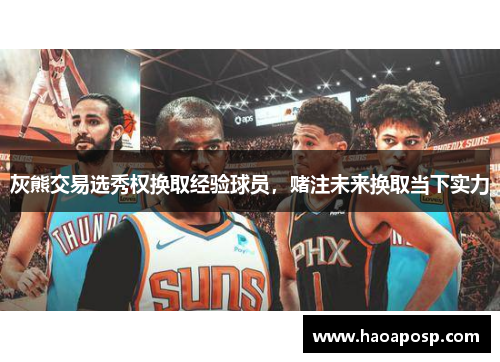 灰熊交易选秀权换取经验球员，赌注未来换取当下实力