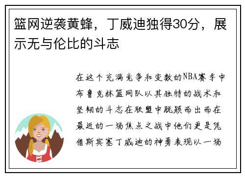 篮网逆袭黄蜂，丁威迪独得30分，展示无与伦比的斗志